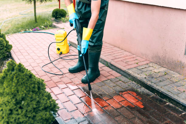 Best Driveway Pressure Washing  in Fennville, MI