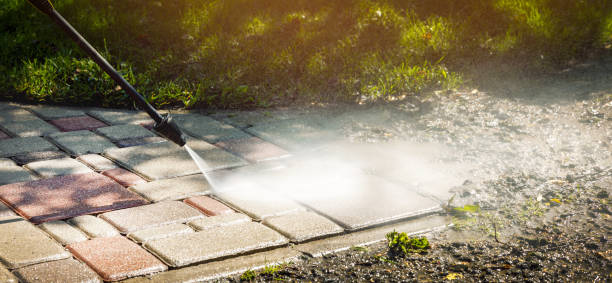 Best Oil Spill Cleanup  in Fennville, MI