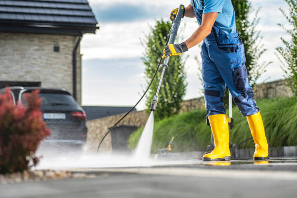 Best Patio and Deck Pressure Washing  in Fennville, MI